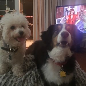 Meet your Posher, Paulette